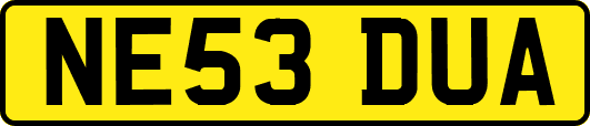 NE53DUA