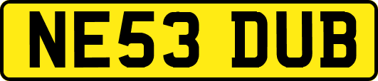 NE53DUB