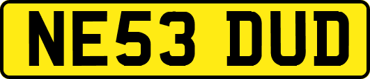 NE53DUD