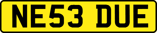 NE53DUE