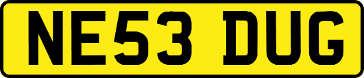NE53DUG