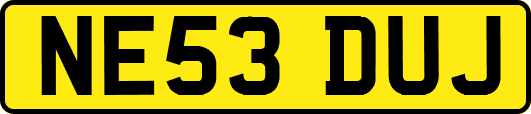 NE53DUJ