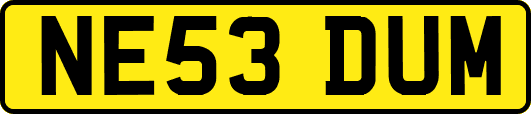 NE53DUM