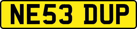 NE53DUP