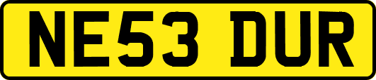 NE53DUR