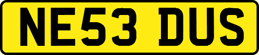 NE53DUS