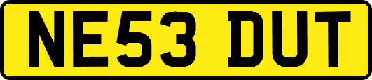 NE53DUT