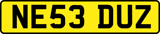 NE53DUZ