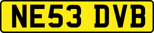 NE53DVB