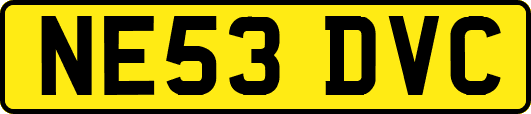 NE53DVC