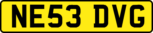 NE53DVG
