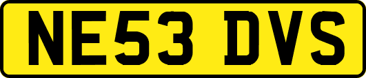 NE53DVS