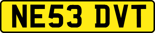 NE53DVT