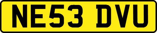 NE53DVU