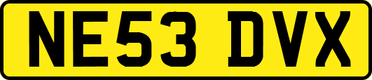 NE53DVX