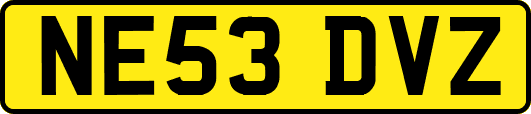 NE53DVZ
