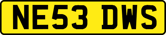 NE53DWS