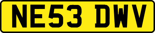 NE53DWV