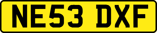 NE53DXF