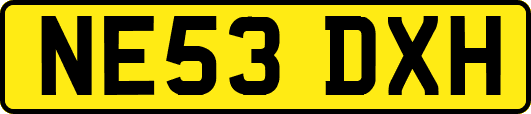 NE53DXH
