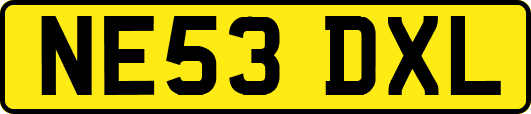 NE53DXL