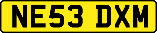 NE53DXM