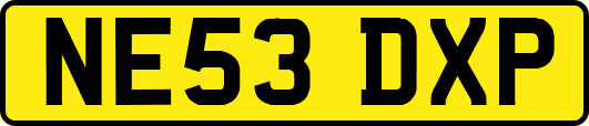 NE53DXP