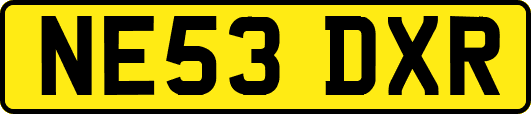 NE53DXR