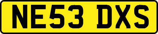 NE53DXS