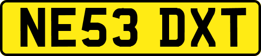 NE53DXT