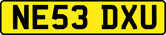 NE53DXU