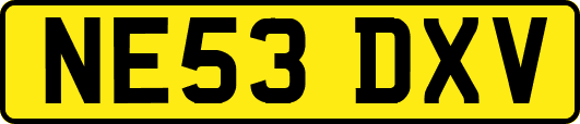 NE53DXV