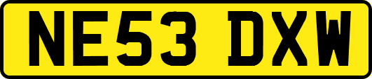 NE53DXW
