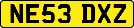 NE53DXZ