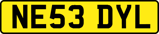 NE53DYL