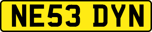NE53DYN