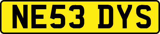 NE53DYS