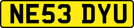 NE53DYU
