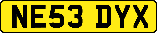 NE53DYX