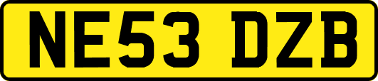 NE53DZB