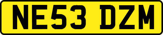 NE53DZM
