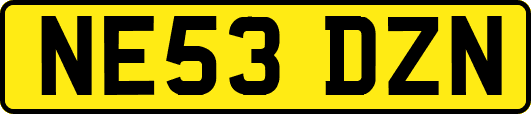 NE53DZN