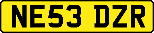 NE53DZR