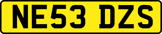 NE53DZS