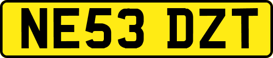 NE53DZT