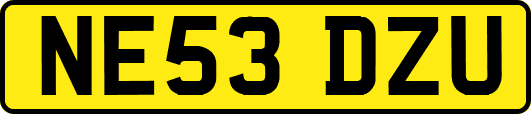 NE53DZU