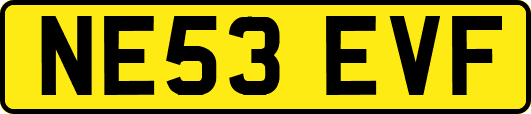NE53EVF
