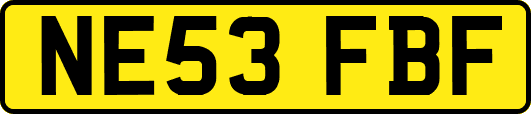 NE53FBF