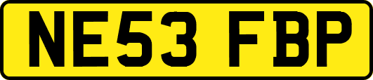 NE53FBP
