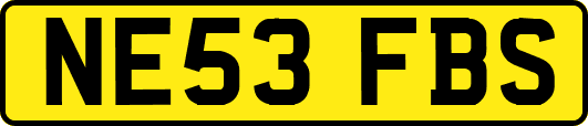 NE53FBS